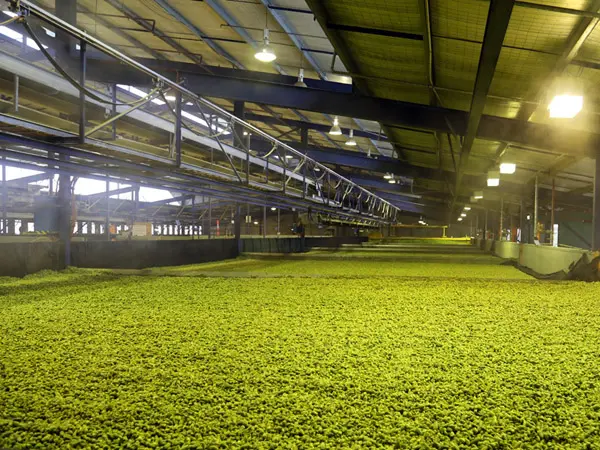 Stone&Wood_galaxy_02