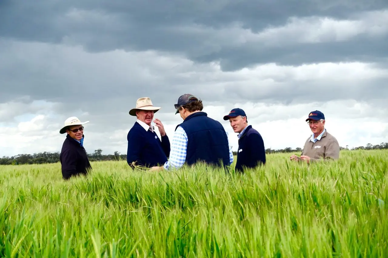 Surveying this season's barley crop