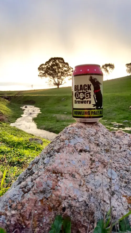Black Dog Howling Pale Ale