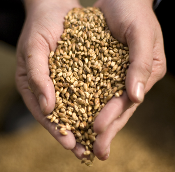 On the definition of craft beer Brews News Australia