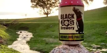 Black-Dog-Howling-Pale-Ale-1-e1475204100709