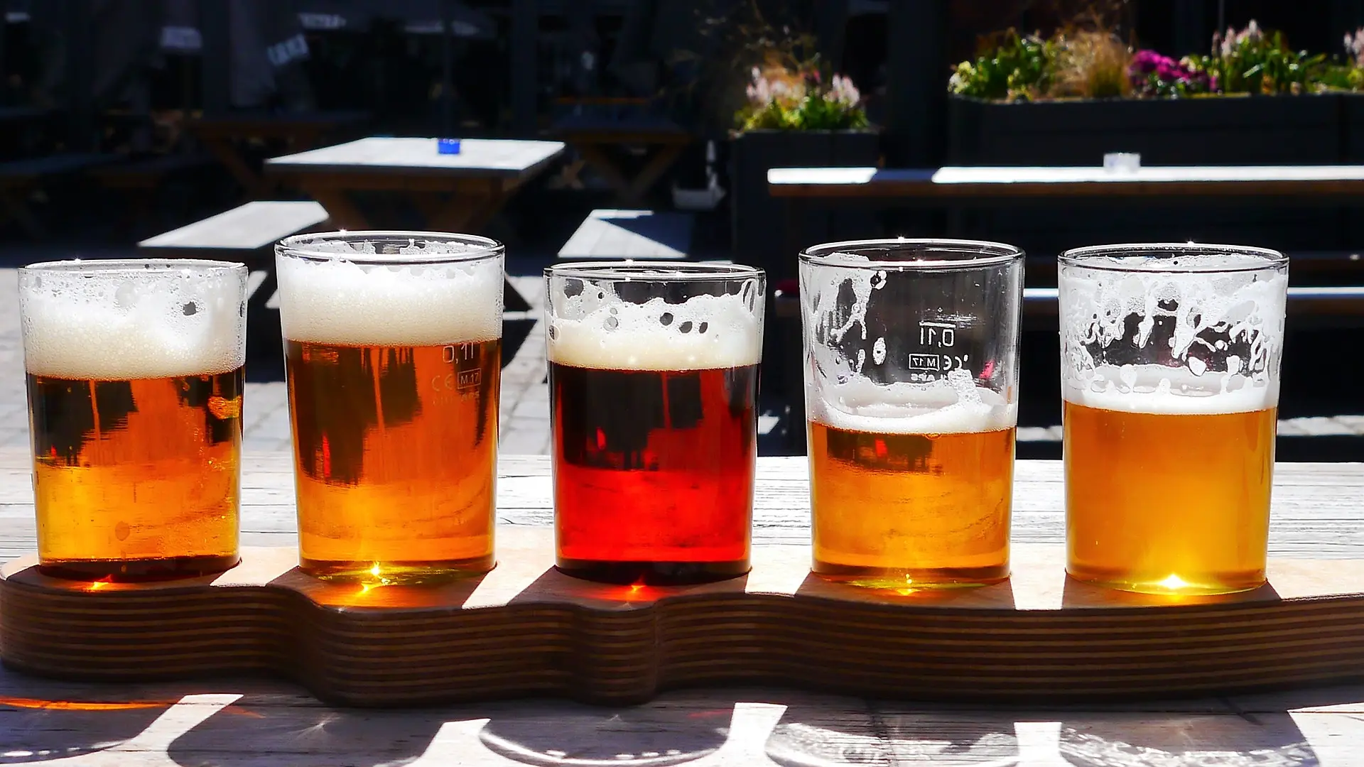 A paddle of beer at a brewery taproom