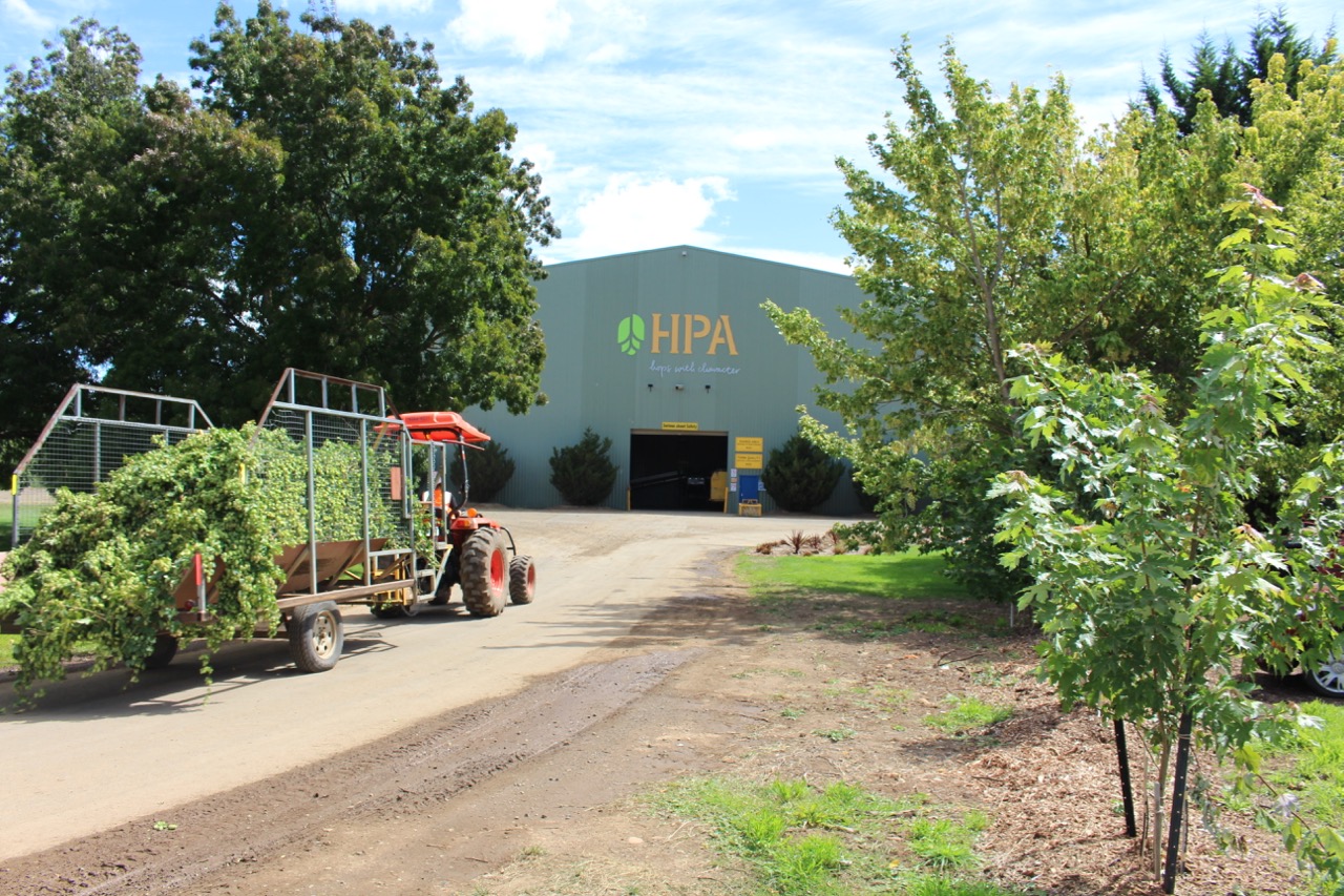 Hop Products Australia has made its 2018 crop predictions