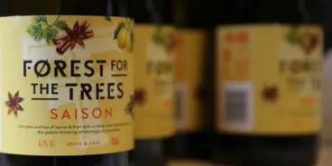 forest-for-the-trees