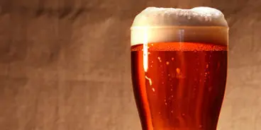 queensland-beer-show-awards