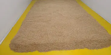 Germinating-Floor-House-of-Malt