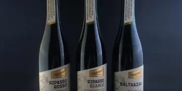 Wayward Discovery Series