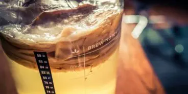 kombucha fermented soft drinks