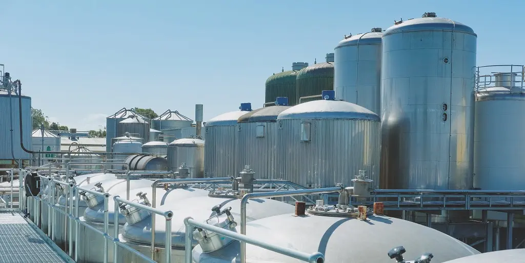 Gage Roads 15 years 52