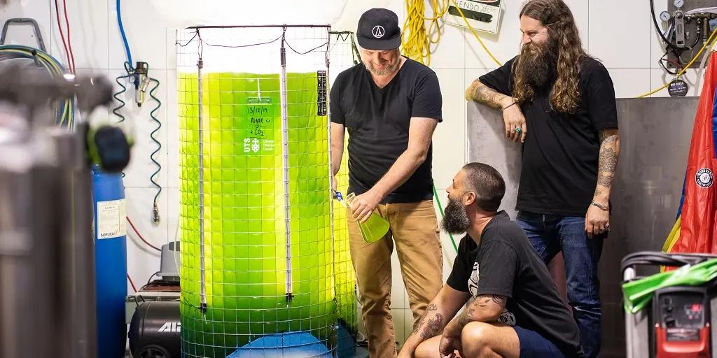 Algae CO2 Young Henrys