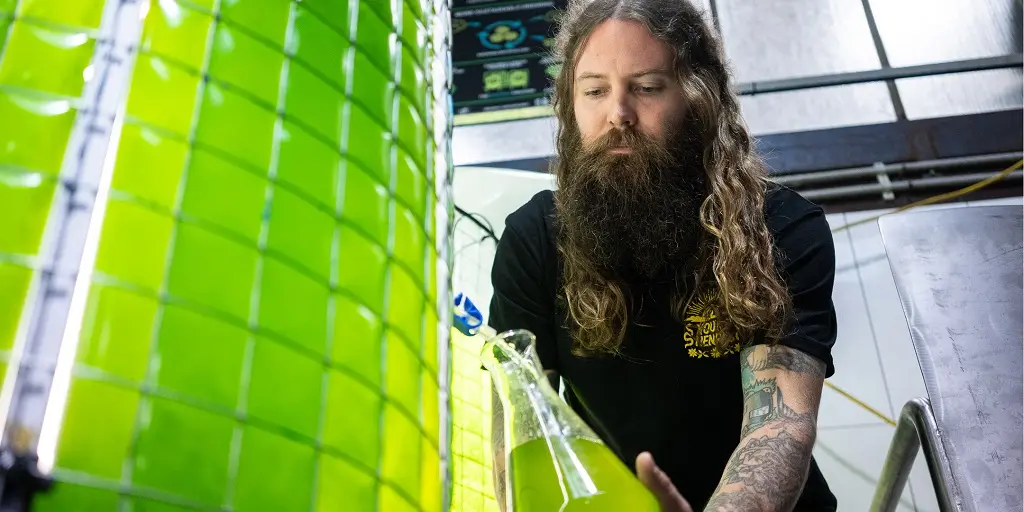 Young Henrys algae CO2