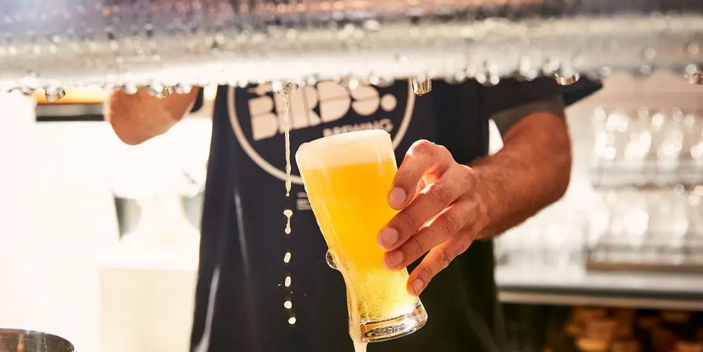 The Nest Bar 2020 web Two Birds