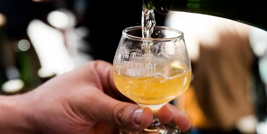 Shelton Bros the festival