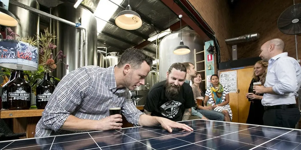 Young Henrys Pingala solar crowdfund