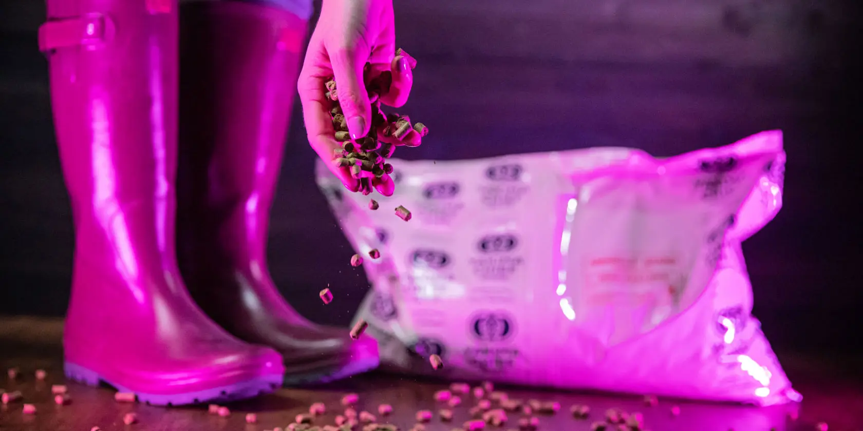 pink boots cryer malt