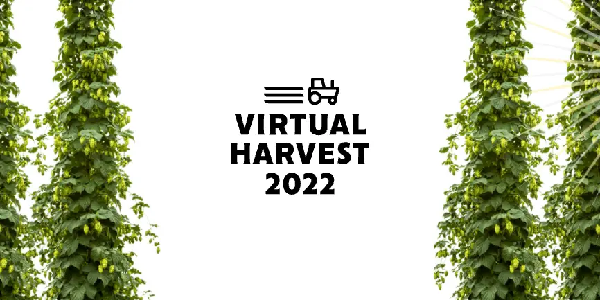 Screen-Shot-2022-03-02-at-3.26.07-pm