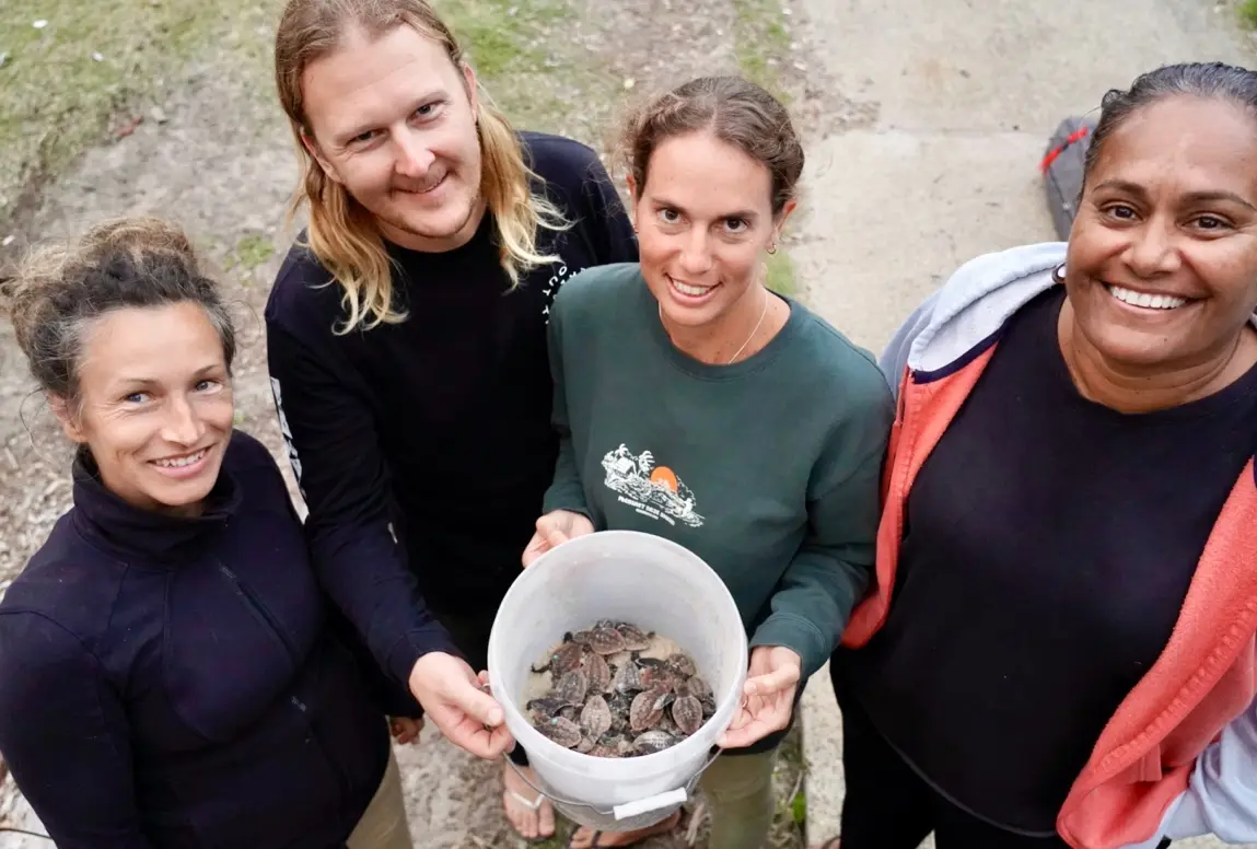 ingrained foundation