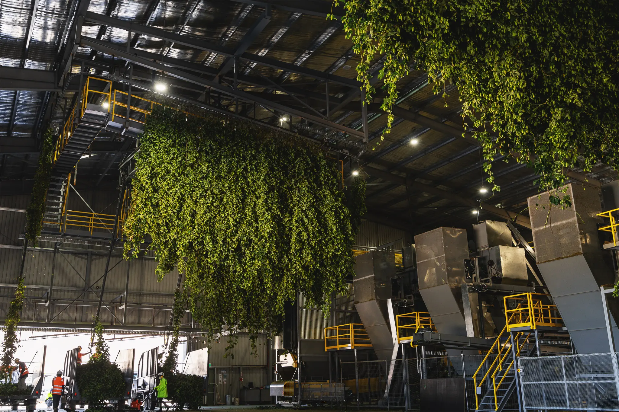Buffalo River Valley Picking Shed