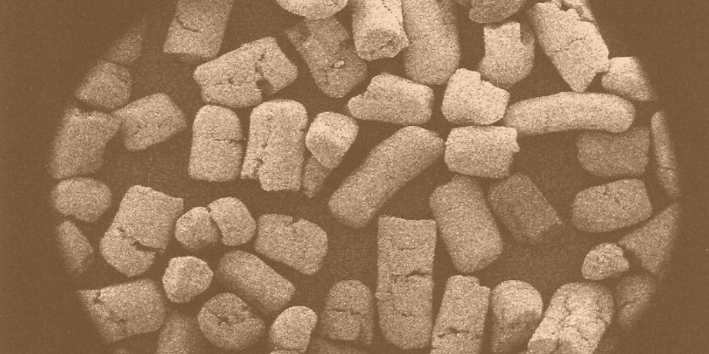 Brewing with Fermentis’ E2U active dry yeast Brews News Australia