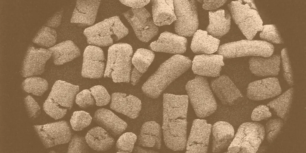 Brewing with Fermentis' E2U active dry yeast