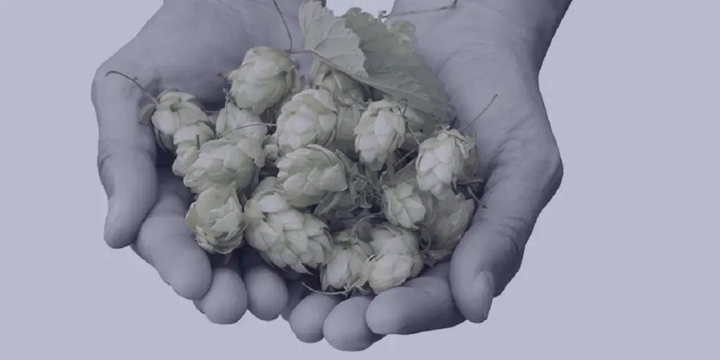 Dry hopping solutions