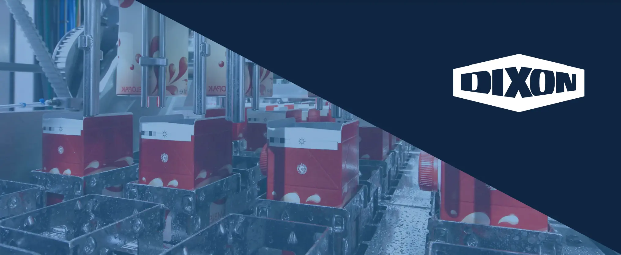 Dixon article - feature image