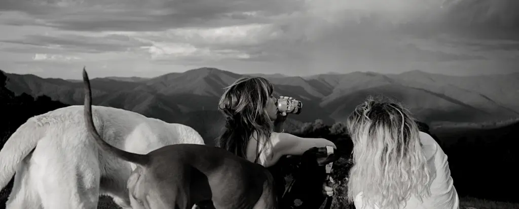 bright brewery - support local