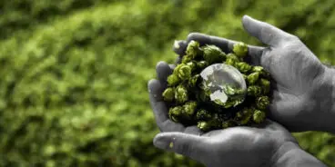 HPA - sustainability