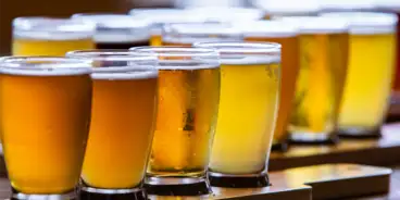 Invita Brewery Pro Image