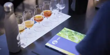 WSET Beer tasting glasses 3