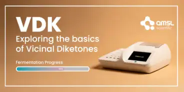 BrewsNews VDK Banner