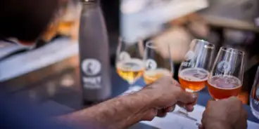 WSET Beer qualifications