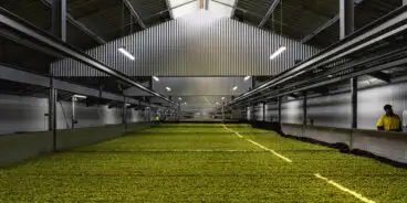 Kiln Floor 2024 report